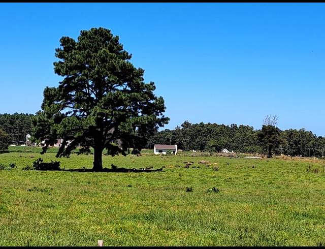 FARM FOR SALE IN TSITSIKAMMA